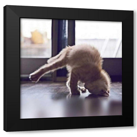 Cat Yoga X Black Modern Wood Framed Art Print by Nob, R.