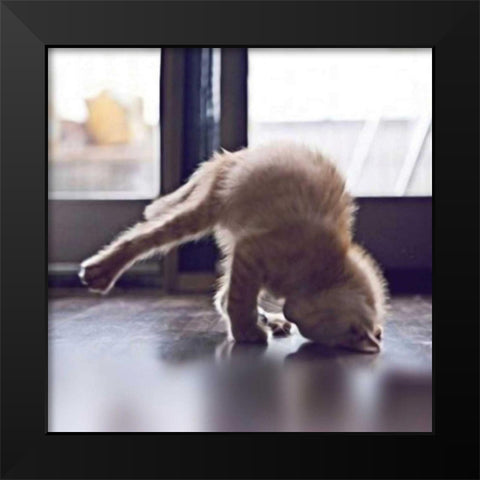 Cat Yoga X Black Modern Wood Framed Art Print by Nob, R.