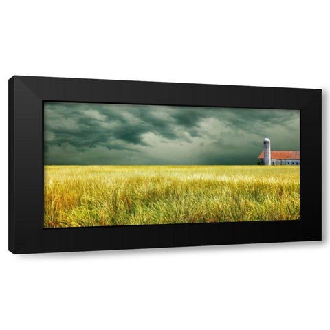 Yellow Field Black Modern Wood Framed Art Print with Double Matting by McLoughlin, James