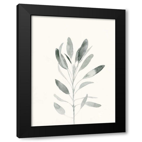 Delicate Sage Botanical II Black Modern Wood Framed Art Print by Caroline, Emma