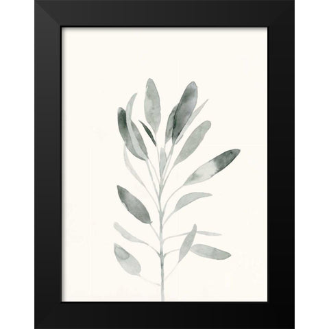 Delicate Sage Botanical II Black Modern Wood Framed Art Print by Caroline, Emma