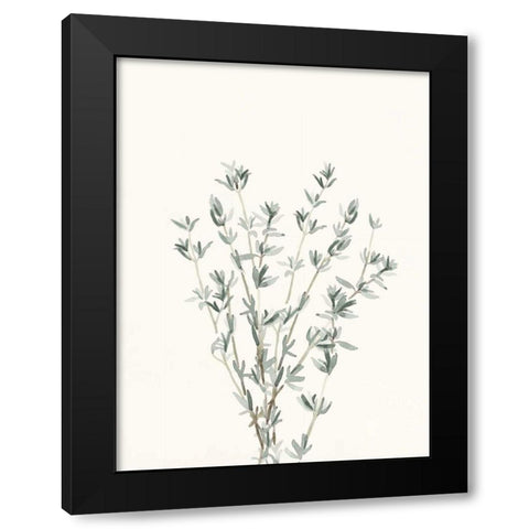 Delicate Sage Botanical III Black Modern Wood Framed Art Print with Double Matting by Caroline, Emma