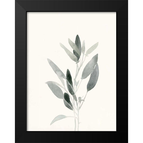 Delicate Sage Botanical IV Black Modern Wood Framed Art Print by Caroline, Emma