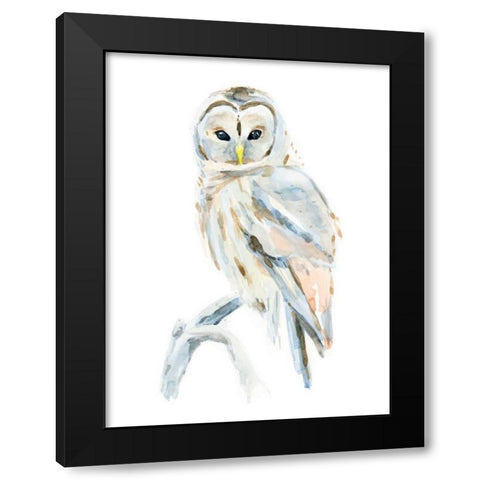 Arctic Owl II Black Modern Wood Framed Art Print with Double Matting by Warren, Annie