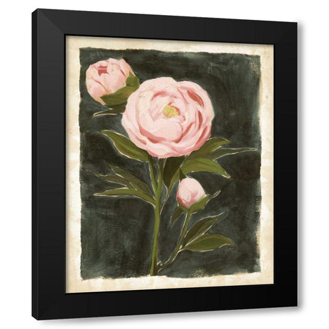 Vintage Peonies I Black Modern Wood Framed Art Print by Popp, Grace