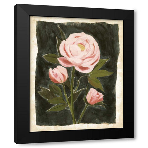 Vintage Peonies II Black Modern Wood Framed Art Print by Popp, Grace