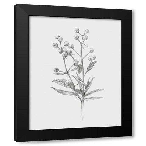 Wild Stem I Black Modern Wood Framed Art Print with Double Matting by Warren, Annie