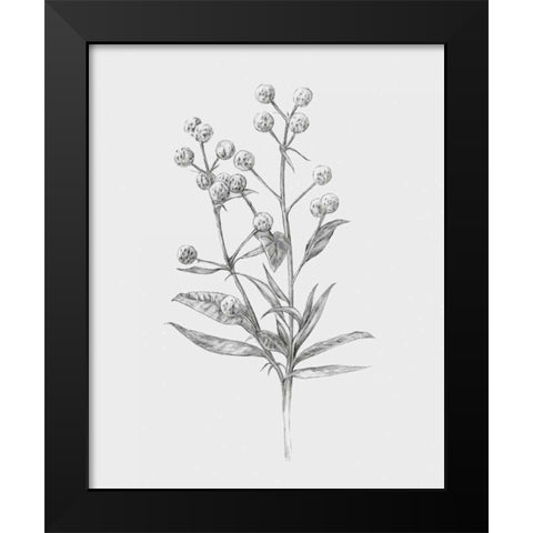Wild Stem I Black Modern Wood Framed Art Print by Warren, Annie