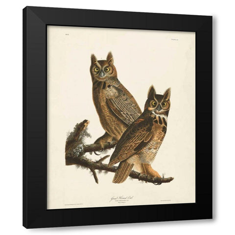 Pl 61 Great Horned Owl Black Modern Wood Framed Art Print with Double Matting by Audubon, John James