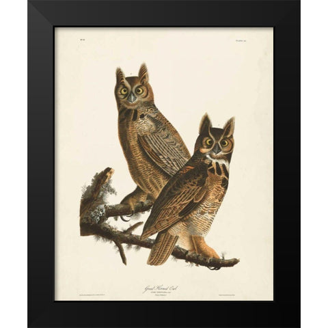 Pl 61 Great Horned Owl Black Modern Wood Framed Art Print by Audubon, John James