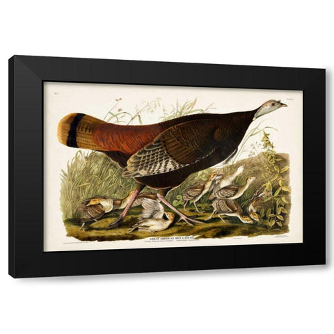 Pl 6 Great American Hen and Young Black Modern Wood Framed Art Print by Audubon, John James
