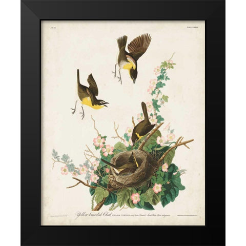 Pl 137 Yellow-breasted Chat Black Modern Wood Framed Art Print by Audubon, John James