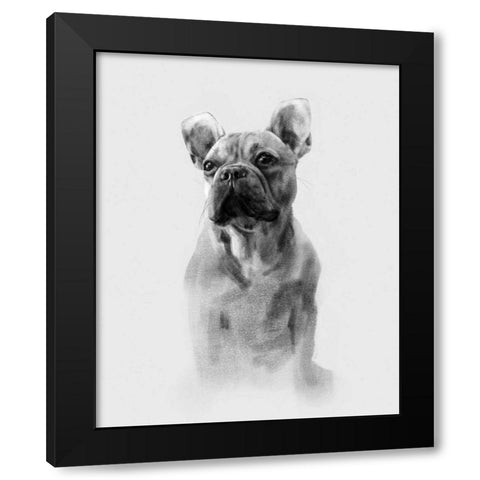 Pug Portrait I Black Modern Wood Framed Art Print by Caroline, Emma