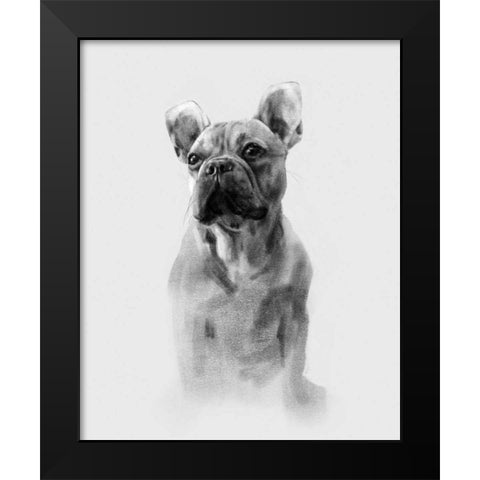 Pug Portrait I Black Modern Wood Framed Art Print by Caroline, Emma