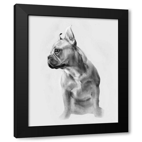Pug Portrait II Black Modern Wood Framed Art Print with Double Matting by Caroline, Emma
