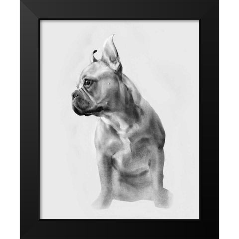 Pug Portrait II Black Modern Wood Framed Art Print by Caroline, Emma
