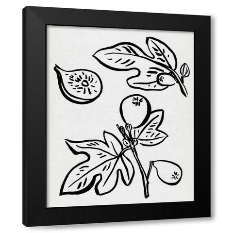 Fig Season II Black Modern Wood Framed Art Print with Double Matting by Wang, Melissa