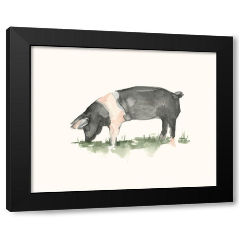 Grazing Farm Animal IV Black Modern Wood Framed Art Print with Double Matting by Harper, Ethan