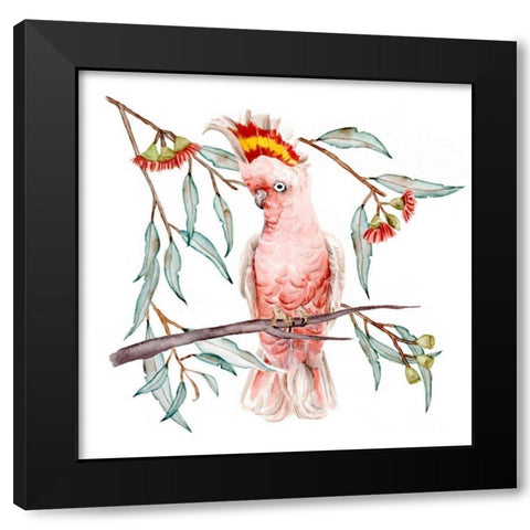 Pink Cockatoo I Black Modern Wood Framed Art Print with Double Matting by Wang, Melissa
