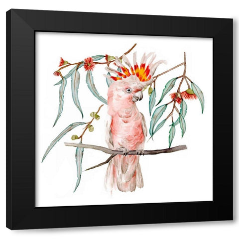 Pink Cockatoo II Black Modern Wood Framed Art Print with Double Matting by Wang, Melissa