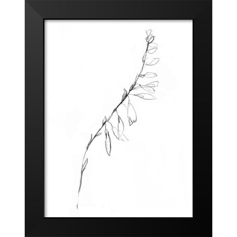 Stem Contour V Black Modern Wood Framed Art Print by Goldberger, Jennifer