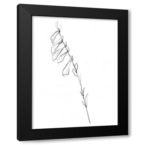 Stem Contour VI Black Modern Wood Framed Art Print by Goldberger, Jennifer