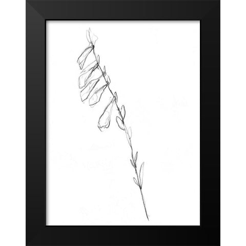 Stem Contour VI Black Modern Wood Framed Art Print by Goldberger, Jennifer