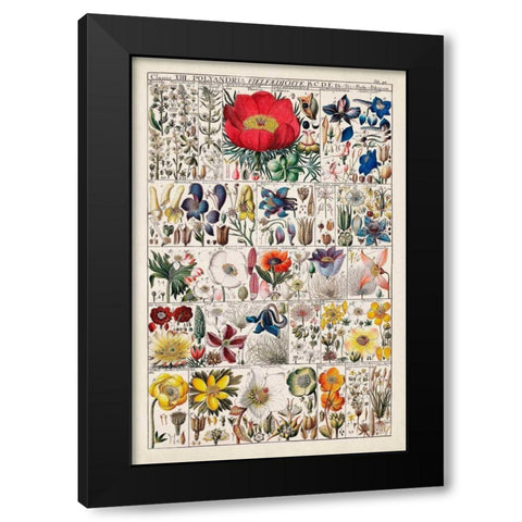 Floral Chart Black Modern Wood Framed Art Print by Vision Studio