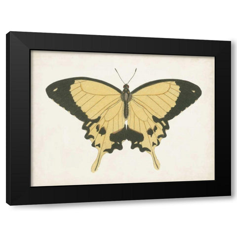 Beautiful Butterfly I Black Modern Wood Framed Art Print with Double Matting by Vision Studio