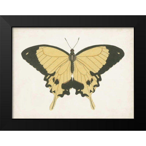 Beautiful Butterfly I Black Modern Wood Framed Art Print by Vision Studio