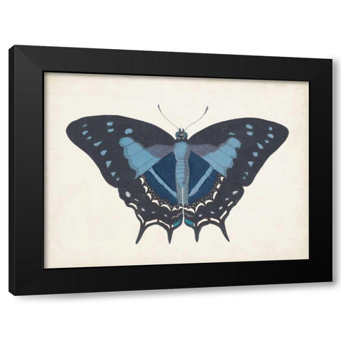 Beautiful Butterfly III Black Modern Wood Framed Art Print by Vision Studio