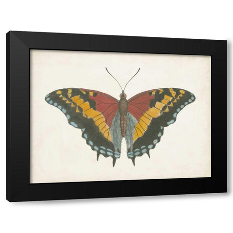 Beautiful Butterfly IV Black Modern Wood Framed Art Print by Vision Studio
