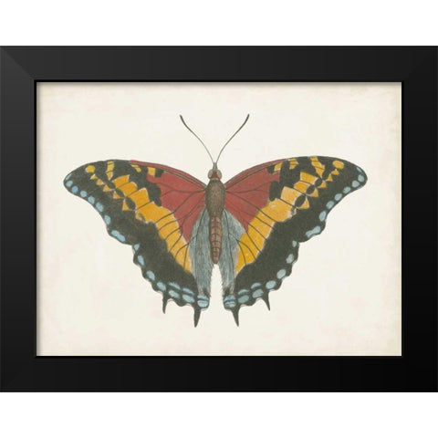 Beautiful Butterfly IV Black Modern Wood Framed Art Print by Vision Studio