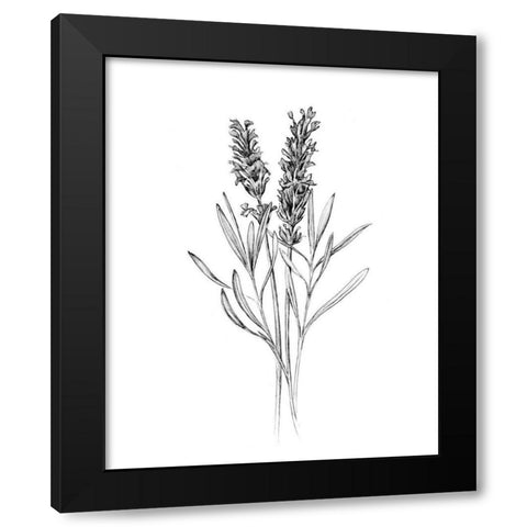 Field Flower II Black Modern Wood Framed Art Print with Double Matting by Warren, Annie