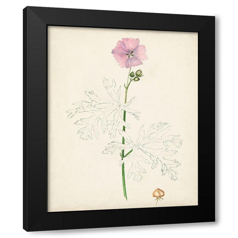 Watercolor Botanical Sketches III Black Modern Wood Framed Art Print with Double Matting by Unknown