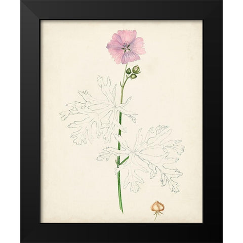Watercolor Botanical Sketches III Black Modern Wood Framed Art Print by Unknown