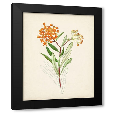 Watercolor Botanical Sketches VI Black Modern Wood Framed Art Print by Unknown