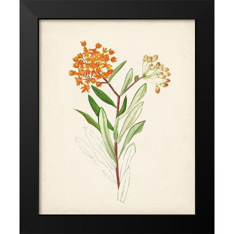 Watercolor Botanical Sketches VI Black Modern Wood Framed Art Print by Unknown