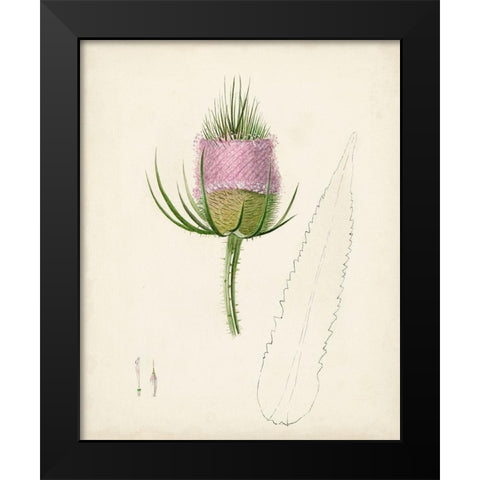 Watercolor Botanical Sketches VIII Black Modern Wood Framed Art Print by Unknown