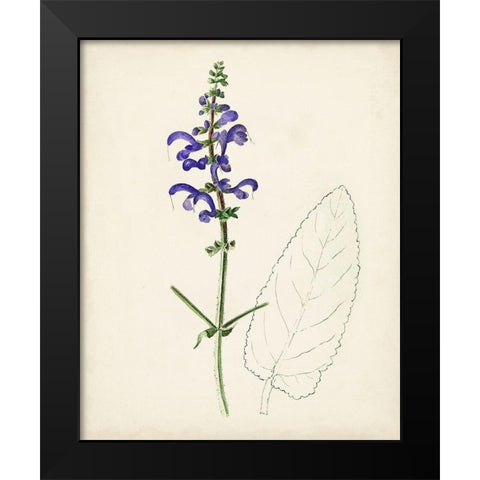 Watercolor Botanical Sketches X Black Modern Wood Framed Art Print by Unknown
