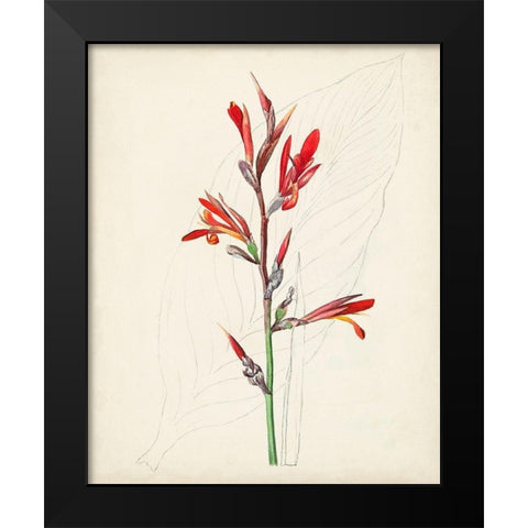 Watercolor Botanical Sketches XII Black Modern Wood Framed Art Print by Unknown