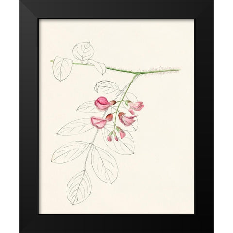 Watercolor Leaf Sketches I Black Modern Wood Framed Art Print by Unknown