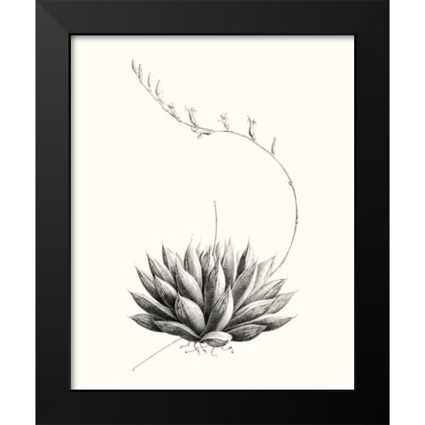 Graphic Succulents IV Black Modern Wood Framed Art Print by Vision Studio