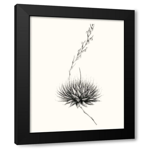 Graphic Succulents V Black Modern Wood Framed Art Print by Vision Studio