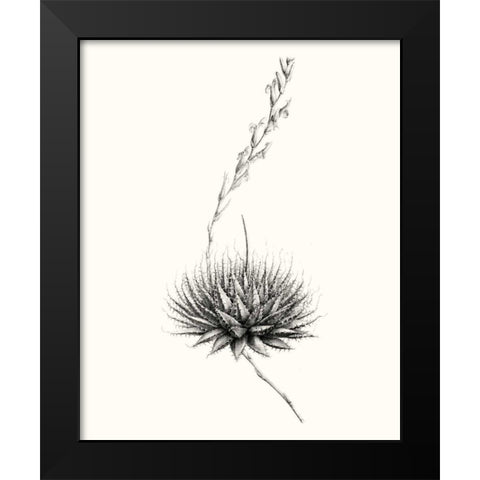 Graphic Succulents V Black Modern Wood Framed Art Print by Vision Studio