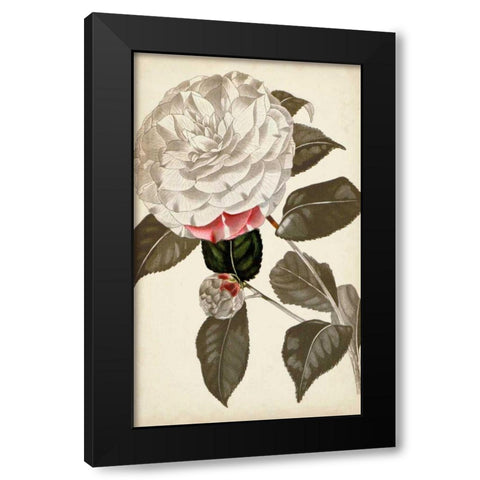 Silvery Botanicals I Black Modern Wood Framed Art Print by Vision Studio