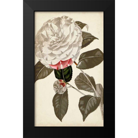 Silvery Botanicals I Black Modern Wood Framed Art Print by Vision Studio