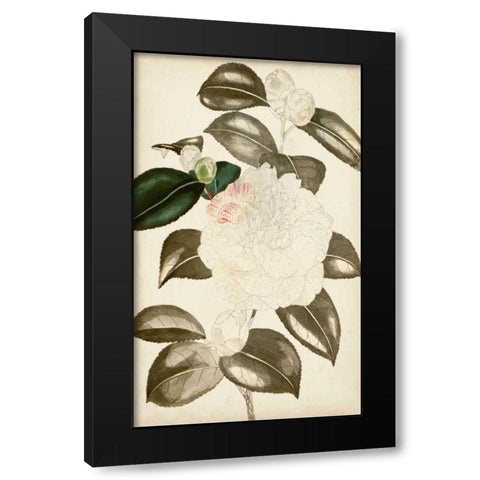 Silvery Botanicals II Black Modern Wood Framed Art Print by Vision Studio