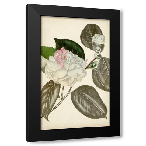 Silvery Botanicals III Black Modern Wood Framed Art Print by Vision Studio