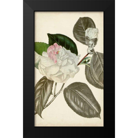 Silvery Botanicals III Black Modern Wood Framed Art Print by Vision Studio